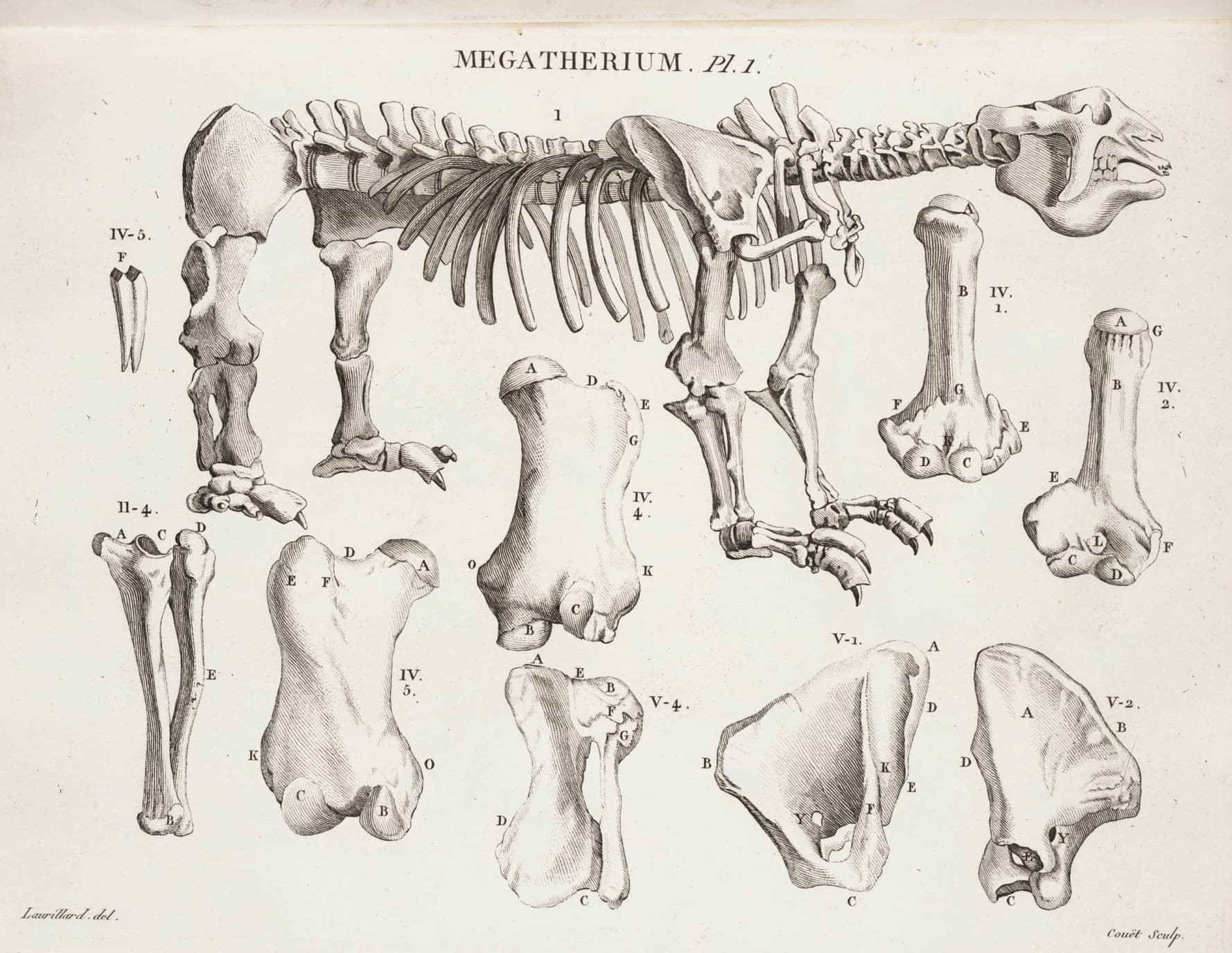 Megatherium según Georges Cuvier13
