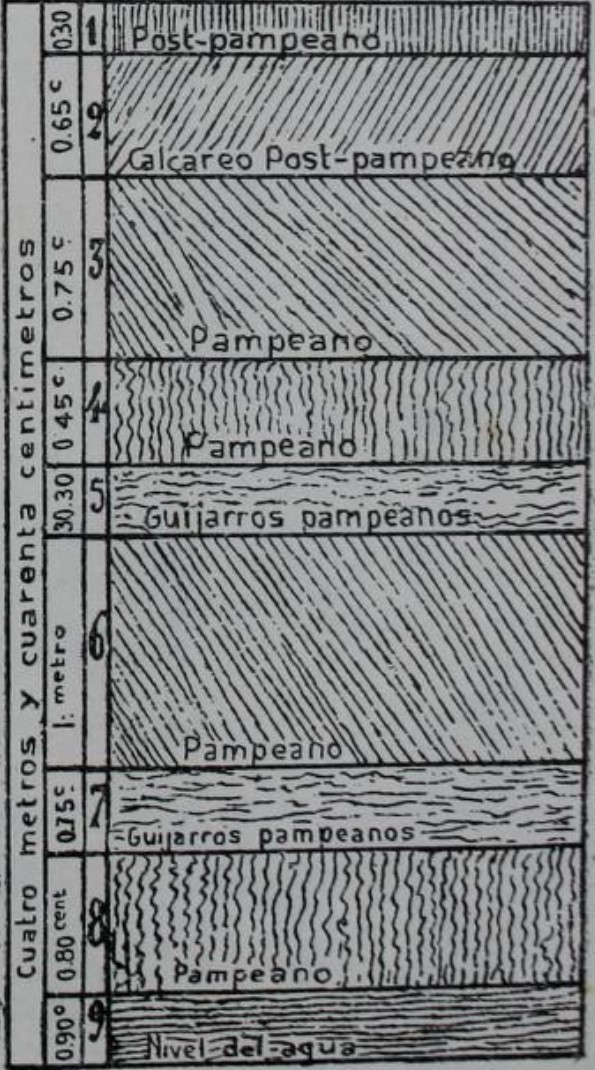 Tabla  bioestratigráfica según Florentino Ameghino19